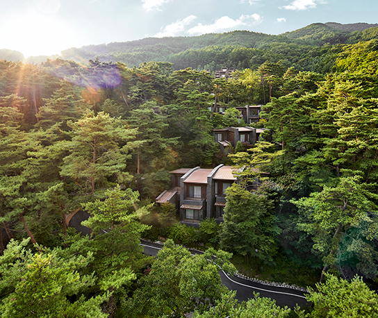 포레스트 리솜(제천)